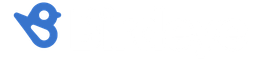 Birdeye logo